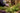 Creekside Farms | Artisan Wreaths